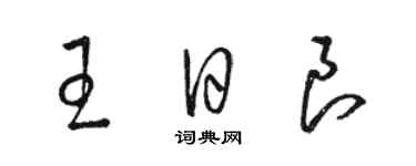 駱恆光王日良草書個性簽名怎么寫