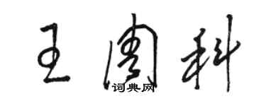 駱恆光王周科草書個性簽名怎么寫