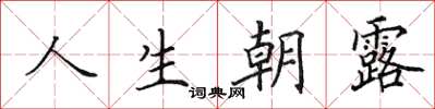 田英章人生朝露楷書怎么寫