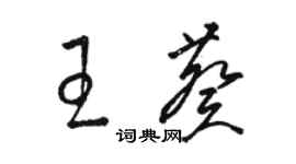 駱恆光王葵草書個性簽名怎么寫