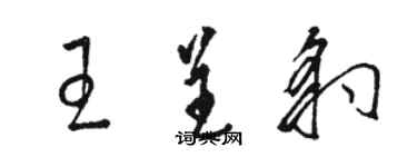 駱恆光王呈豹草書個性簽名怎么寫