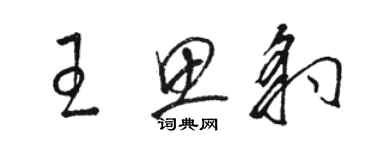 駱恆光王思豹草書個性簽名怎么寫