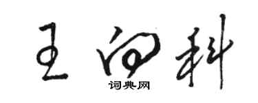 駱恆光王向科草書個性簽名怎么寫