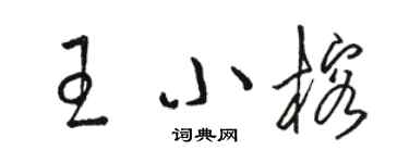 駱恆光王小榕草書個性簽名怎么寫