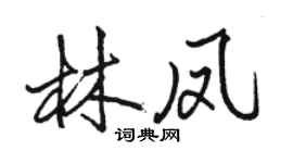 駱恆光林鳳行書個性簽名怎么寫