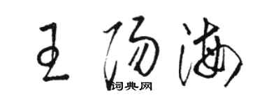 駱恆光王陽海草書個性簽名怎么寫