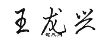 駱恆光王龍興行書個性簽名怎么寫