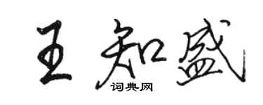 駱恆光王知盛行書個性簽名怎么寫