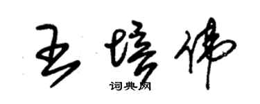 朱錫榮王培偉草書個性簽名怎么寫