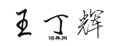 駱恆光王丁輝行書個性簽名怎么寫