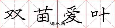 袁強雙苗愛葉楷書怎么寫