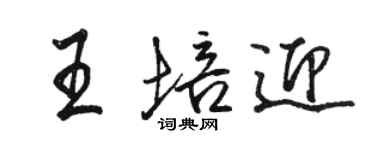 駱恆光王培迎行書個性簽名怎么寫