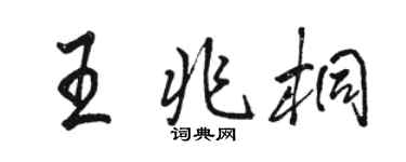 駱恆光王兆桐行書個性簽名怎么寫