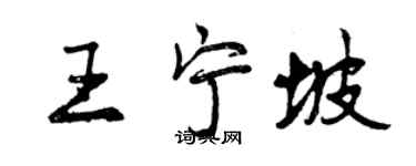 曾慶福王寧坡行書個性簽名怎么寫