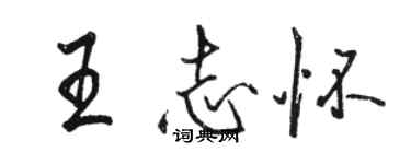 駱恆光王志懷行書個性簽名怎么寫