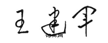 駱恆光王建軍草書個性簽名怎么寫