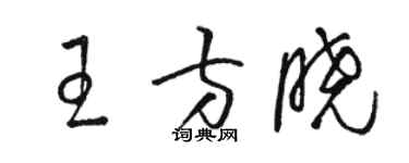 駱恆光王方曉草書個性簽名怎么寫