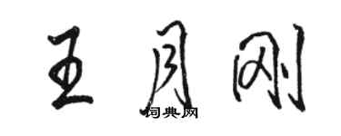 駱恆光王月剛行書個性簽名怎么寫