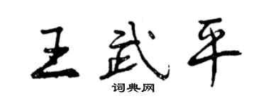曾慶福王武平行書個性簽名怎么寫