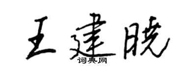 王正良王建曉行書個性簽名怎么寫