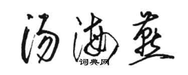 駱恆光湯海燕草書個性簽名怎么寫