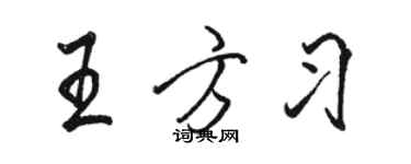 駱恆光王方習行書個性簽名怎么寫