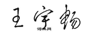 駱恆光王宇暢草書個性簽名怎么寫