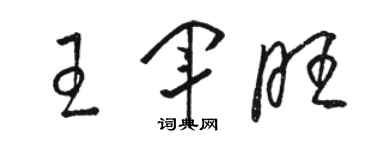 駱恆光王軍旺草書個性簽名怎么寫