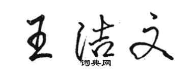 駱恆光王潔文行書個性簽名怎么寫