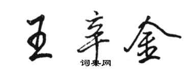 駱恆光王辛金行書個性簽名怎么寫