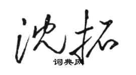 駱恆光沈拓草書個性簽名怎么寫