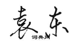 駱恆光袁東行書個性簽名怎么寫