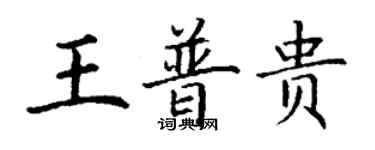丁謙王普貴楷書個性簽名怎么寫