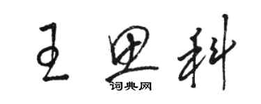 駱恆光王思科草書個性簽名怎么寫