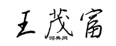 王正良王茂富行書個性簽名怎么寫