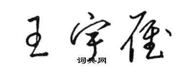 駱恆光王宇雁草書個性簽名怎么寫