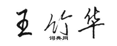 駱恆光王竹華行書個性簽名怎么寫