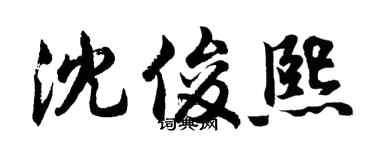 胡問遂沈俊熙行書個性簽名怎么寫