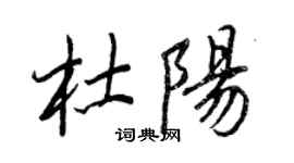 王正良杜陽行書個性簽名怎么寫