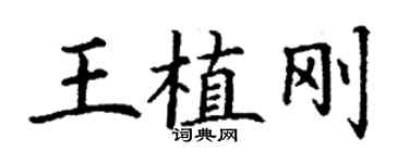 丁謙王植剛楷書個性簽名怎么寫