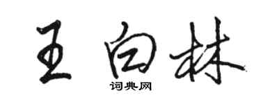 駱恆光王白林行書個性簽名怎么寫