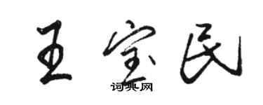 駱恆光王寶民行書個性簽名怎么寫