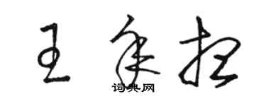 駱恆光王年想草書個性簽名怎么寫