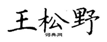 丁謙王松野楷書個性簽名怎么寫