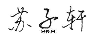 駱恆光蘇子軒行書個性簽名怎么寫
