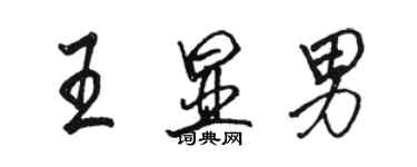 駱恆光王顯男行書個性簽名怎么寫