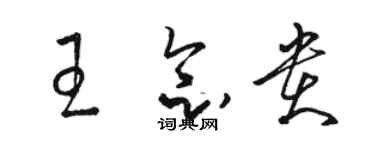 駱恆光王念貴草書個性簽名怎么寫