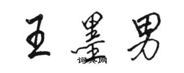 駱恆光王墨男行書個性簽名怎么寫