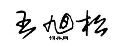 朱錫榮王旭松草書個性簽名怎么寫