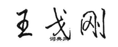 駱恆光王戈剛行書個性簽名怎么寫